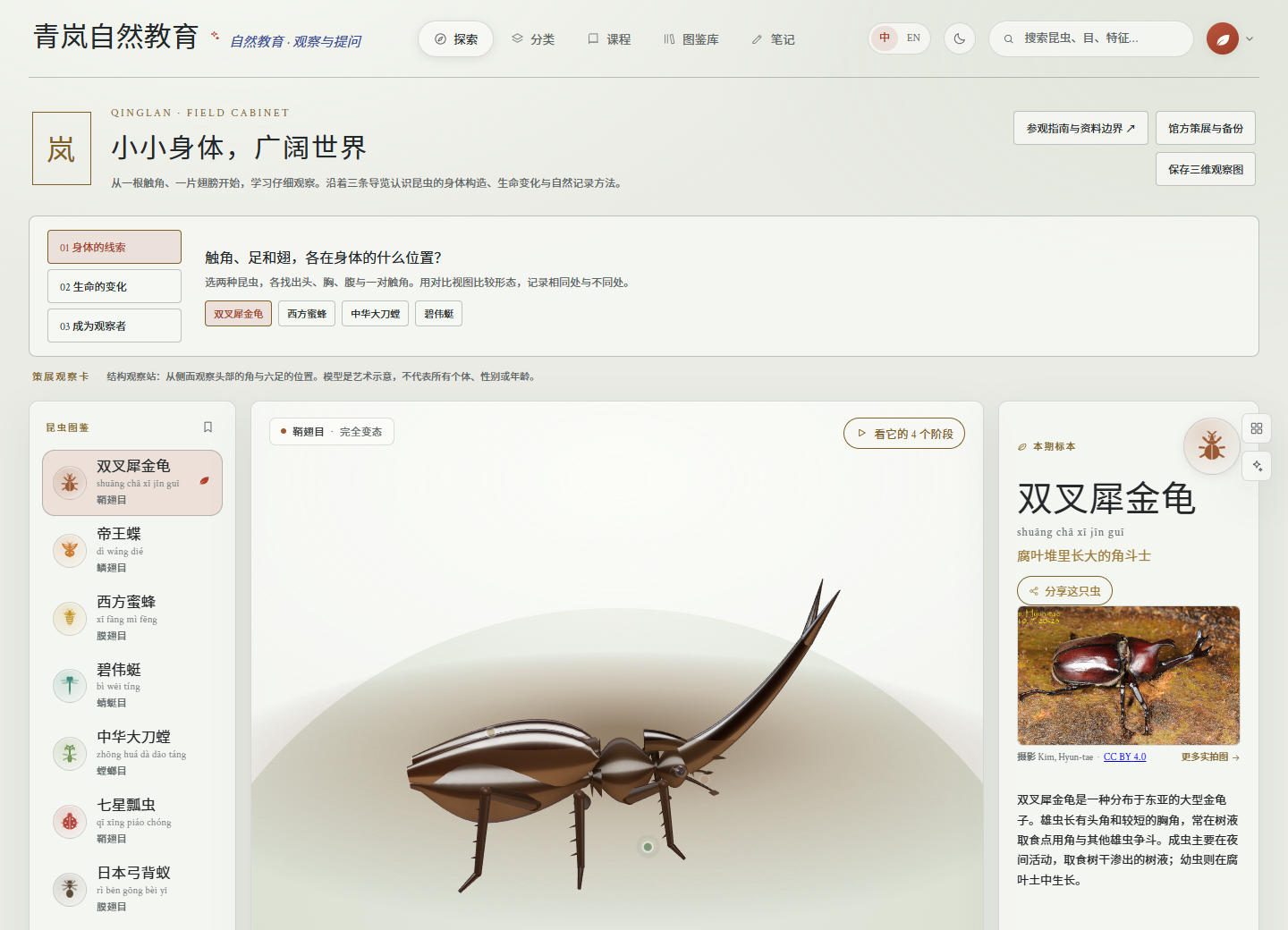 自然教育3D图鉴与策展底座预览